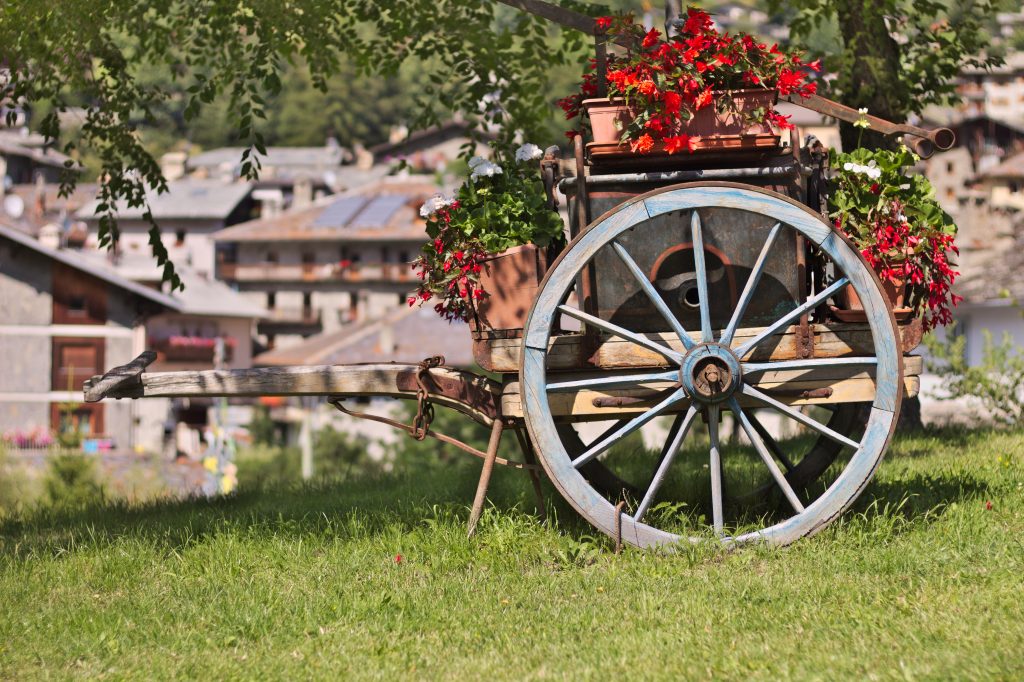 Dettaglio sentiero nei boschi Valle d'Aosta
