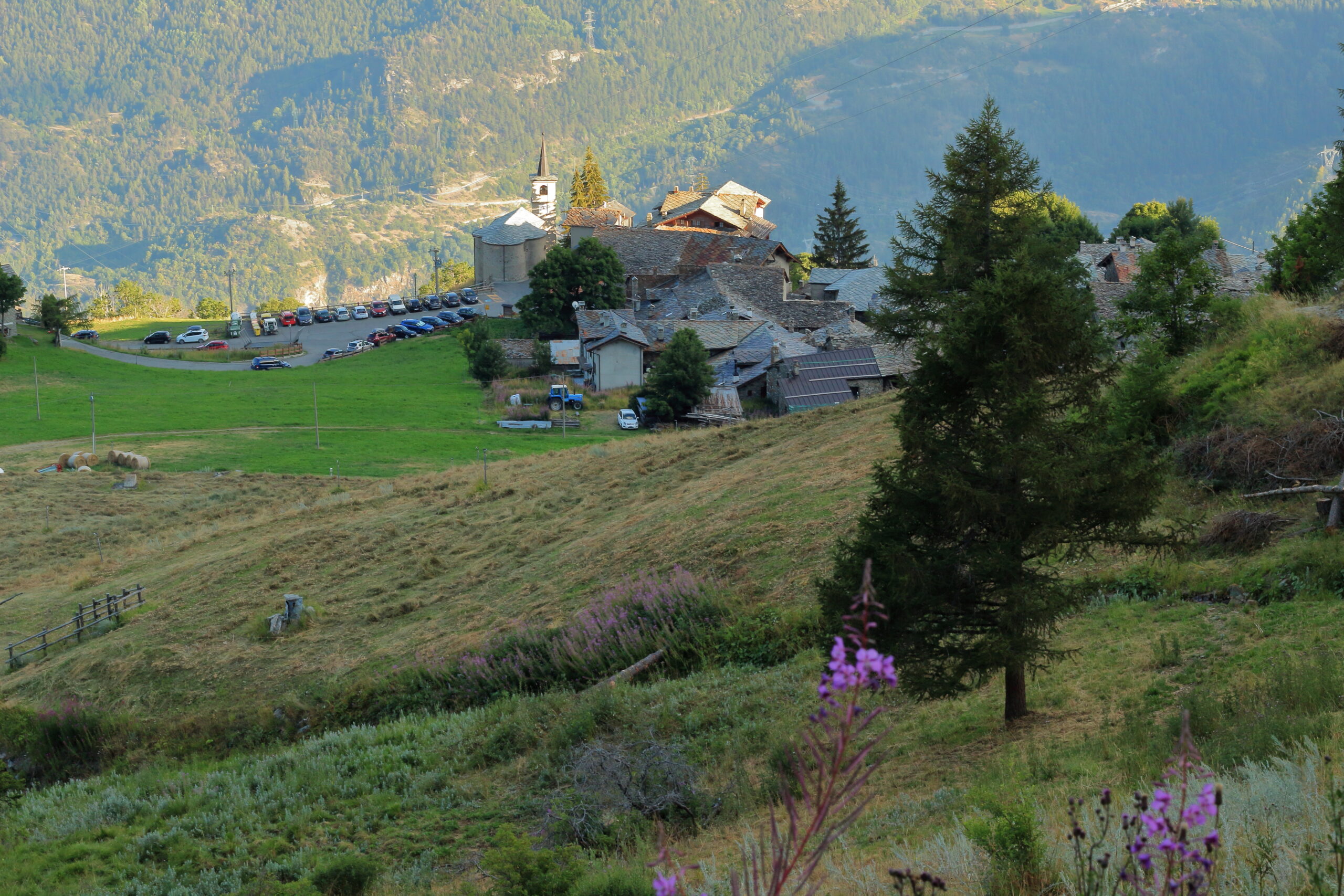 Scopri di più sull'articolo Vens, borgo incantato della Valle d’Aosta tra larici e sapori
