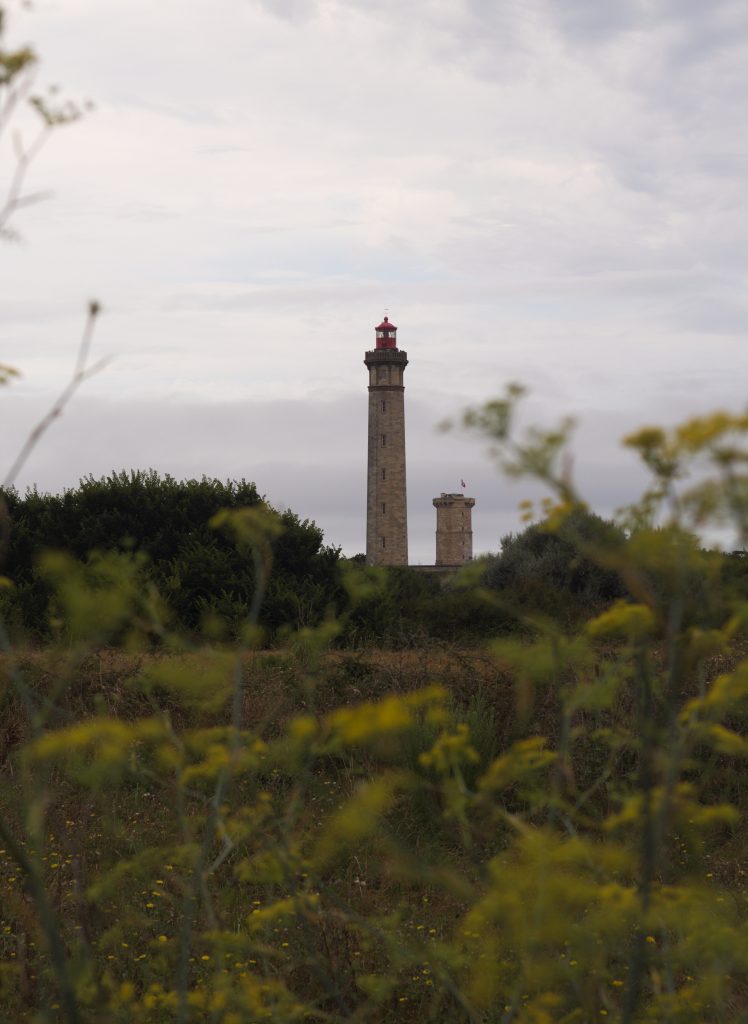 Pista ciclabile tra saline e villaggi bianchi sull’Île de Ré
